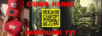 Альфа ПВП Будённовск