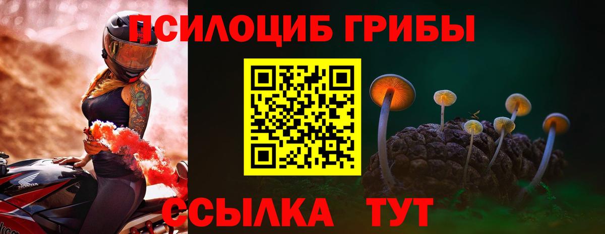 Псилоцибиновые грибы прущие грибы  Псилоцибиновые грибы Psilocybine cubensis  Сосновый Бор  Вход с VPN 